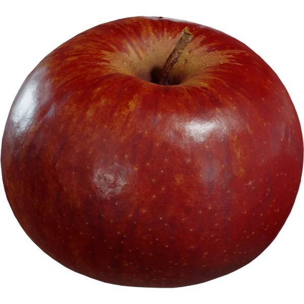 Apple 3D Model - دانلود مدل سه بعدی سیب - آبجکت سه بعدی سیب - دانلود آبجکت سیب - دانلود مدل سه بعدی fbx - دانلود مدل سه بعدی obj -Apple 3d model - Apple 3d Object - Apple OBJ 3d models - Apple FBX 3d Models - 